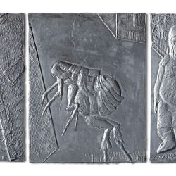 Niemandsland, Reservat, Grenzer